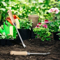 WORKPRO 11.5 in Dandelion Weeder Puller Tool Stainless Steel Garden Weed Remover