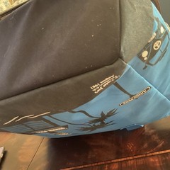 Trader Joe’s Insulated Cooler Tote Bag Pasadena CA Reusable Grocery Blue