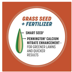 Pennington Smart Seed Texas Bermuda Grass Seed Mix, for Full Sun, 1.75 Lb.