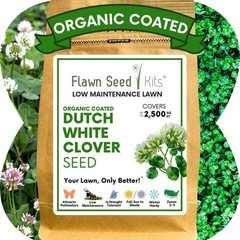 Dutch White Clover Seed, Organic Coated, Eco-Friendly, Low Maintenance