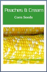 Peaches & Cream Corn Seeds | Hybrid | Fresh Garden Seeds