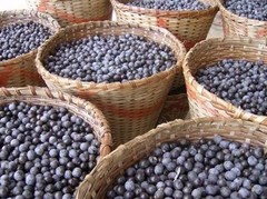 ACAI Assai powder berry 16oz 1lb Superfood, anti-aging, protein, fib, OMeg3 PAJE