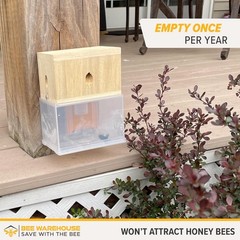 Carpenter Bee Trap – Wood Boring Bee Trap – Unique Catch & Release Outdoor Carpe