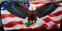 Magnetic Patriotic Flag with Eagle Mailbox Cover – July 4 / anytime ( 21″ x 18″)