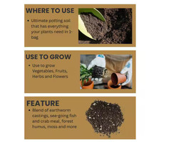 Ocean Forest 40 Lbs. 6.3-6.8 Ph Plant Garden Outdoor Potting Soil Mix Gardening