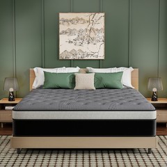 12/14 Inch Gel Memory Foam Hybrid Spring Mattress Twin Full Queen King In a Box