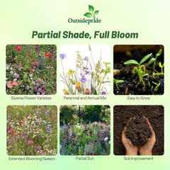 5 LBS Partial Shade Wild Flower Seed Mix For Planting Outdoors