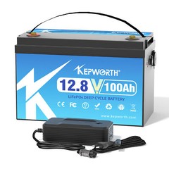 12V 100AH Lithium Battery LiFePO4 BMS 15000 Deep Cycle RV Trolling Motor Marine