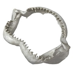 Replica Shark Jaw 15.5in Resin Wall Sculpture Coastal Ocean Nautical Decor