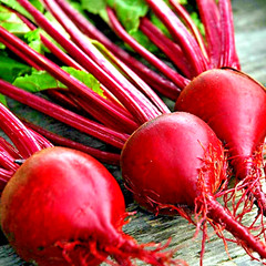 200+ DETROIT BEET SEEDS SPRING GARDEN BEETROOT NON-GMO VEGETABLE HEIRLOOM USA