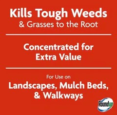 Roundup Concentrate 16 Fl Oz