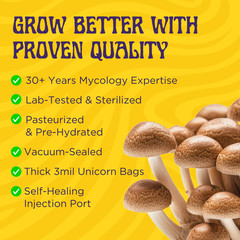 6 lb All-in-One Mushroom Grow Kit In Bag