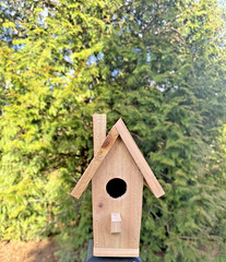 Handmade Cedar Birdhouse w/ Chimney Rustic Outdoor Wren Chickadee Nest Box