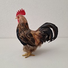 9.5″ Vintage Artificial Natural Feathered Decorative Rooster Rustic Farm Decor