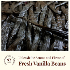 Fresh Organic Vanilla Beans Grade A 5′- 8′ – Bulk Vanilla Pods and Vanilla Cuts.