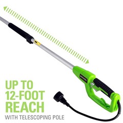 Greenworks 7-Amp 10 inch Bar Corded Electric Pole Saw PSA803 Total Length 9 Feet