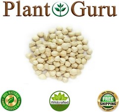250 Moringa Oleifera Seeds Kernel 2 oz. SHELLED Fresh Organic Semilla De Moringa