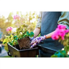22 lb. Biochar Organic Soil Amendment