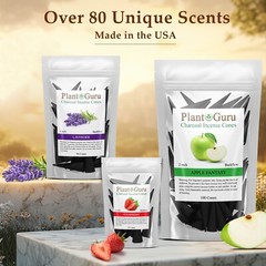 100 Jumbo Charcoal Incense Cones 2″ BACKFLOW Bulk Waterfall Burner Holder Censer