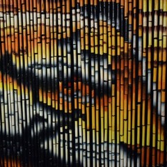 Bamboo Handmade Curtain Beads Window Door Shoji Room Divider Tiger Tigers Print