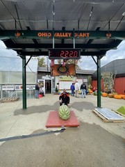 222 Lb Giant Watermelon. $25For 5 Seeds. Free Shipping Worldwide!!