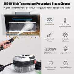 2500W Handheld Car Detailing Cleaning Machine High Temp Steam Cleaner Household
