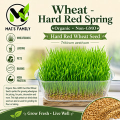 [ WHOLESALE ] Wheat Grass Seed- Guaranteed to Grow, Pets Friendly (USDA Organic)