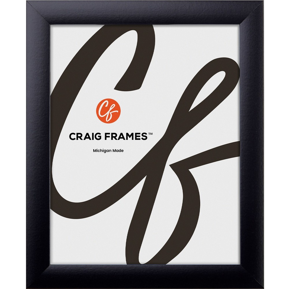 Craig Frames 1″ Wide Modern Black Poster Frames, Uncommon Sizes, 18×18 – 25×35