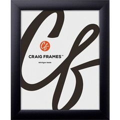 Craig Frames 1″ Wide Modern Black Poster Frames, Uncommon Sizes, 18×18 – 25×35