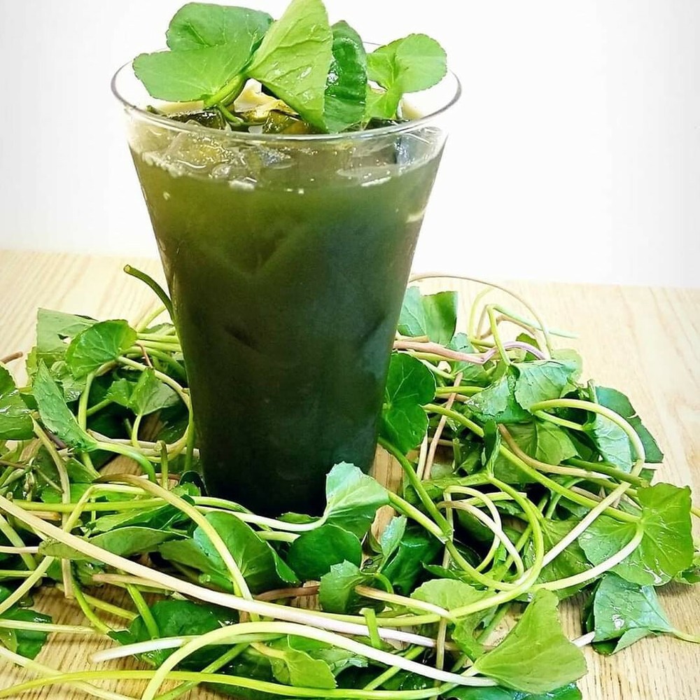500+ Pennywort Seeds, Gotu Kola , Centella asiatica, Rau Ma seeds, Asian Vegies