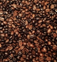 Mocha Java Coffee Beans Medium & Dark Roasted Daily 1 Pound Bags 5 Pounds