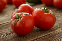 200 Rutgers Tomato Seeds-with Bonus! |Organic Non-GMO Heirloom