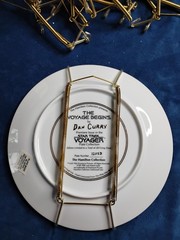 Spring style Plate Hangers for wall display / USED & NO Actual PLATE INCLUDED