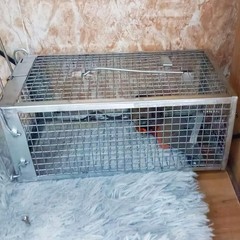 Rat Trap Mouse Traps Work for Indoor and Outdoor Small Rodent Animal-Mice Vol…