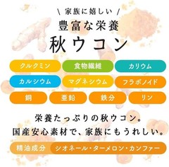 Okinawa Turmeric Powder 100g Natural Spice Japan Additive Free