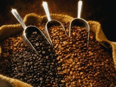 Fresh Espresso Coffee Beans Medium or Dark Roast – Premium Blend – 1 Kg (2.2 Lb)