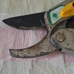 Winland Standard Pruning Shears Safety Lock 3″ Steel Blade 8in Yellow/Gree