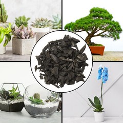 Horticultural Charcoal Plant Hardwood Soil Amendment Orchid Terrarium & Garden