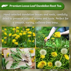 Dandelion Loose Leaf and Root Tea – Te de Diente de Leon Herbal Tea from Peru 2