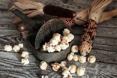 100 Ornamental INDIAN CORN WAMPUM Mixed Colors Zea Mays Vegetable Seeds