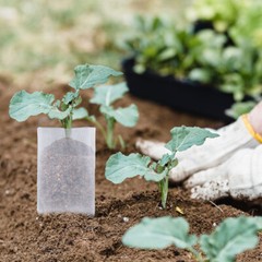 100PCS Non-woven Plant Grow Bags Nursery Bag Biodegradable Fabric Seedling Pot