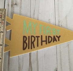 Moon and Stars Paper Milestone Pennant Set 14pc 0-12 Months 1st Birthday