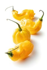 20 MADAME JEANETTE HABANERO CHILLI SEEDS 100% GUARANTEED SEEDS