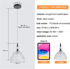 Modern Black Metal Clear Glass Pendant Light 7.68 in Globe Light Fixture with Cl