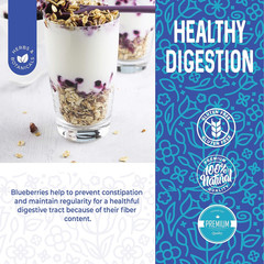 Herbaila Whole Dried Blueberries, No Sugar Added, Bulk, Dehydrated, Dried Unswee