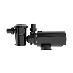 Raypak Protege AGP Above Ground Pool Pump, 1.0 HP Motor, 1.5 in PVC Union