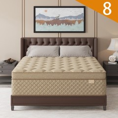 12″ 14″Gel Memory Foam Hybrid Spring Mattress Twin Full Queen King Bed in A Box