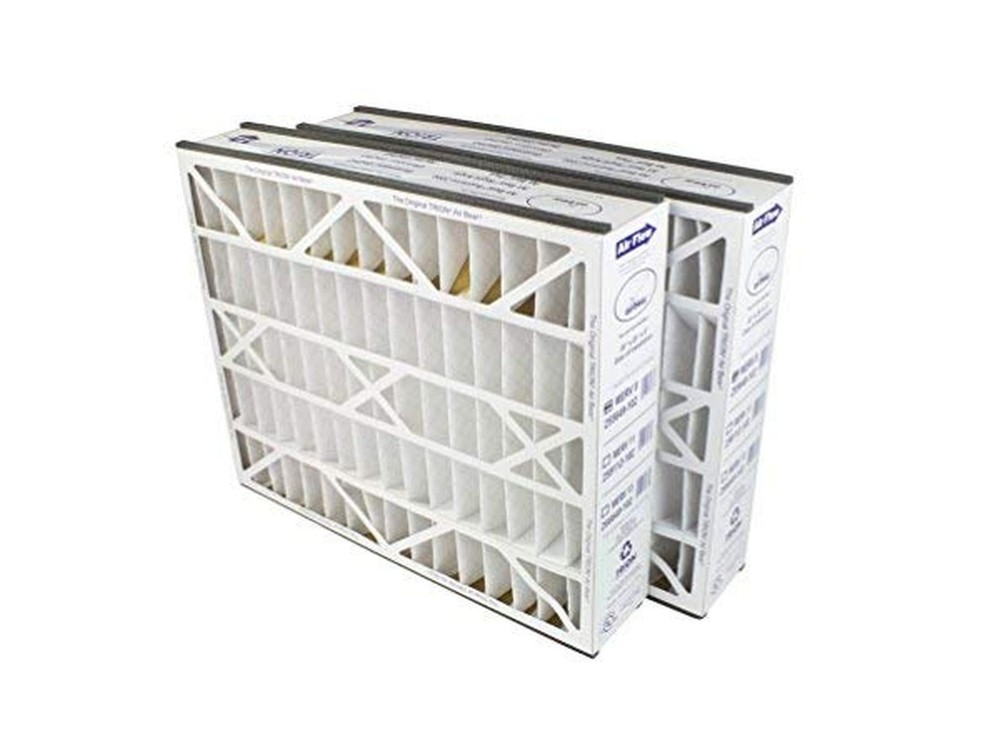 Trion Air Bear 255649-102 (2-Pack) – 20″ x 25″ x 5″ Pleated Air Filter, MERV 8
