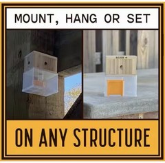 Bees N Things Carpenter Bee Hanging Insect Trap with 15 ft. Coverage (Lot of 4)
