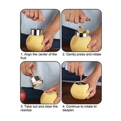 Fruit Corer Removal Tool Remover Fruits Pear Pitter and Vegetable Extractor US